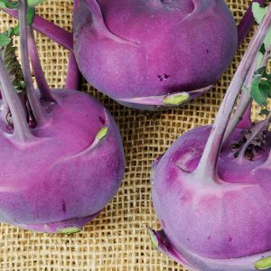 kalarepa-delikates-blauer