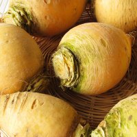 rzepa-golden-ball