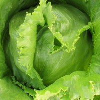 salata-ice-oeuun