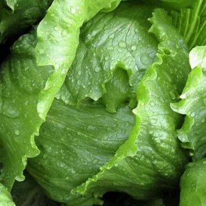 salata-kumak