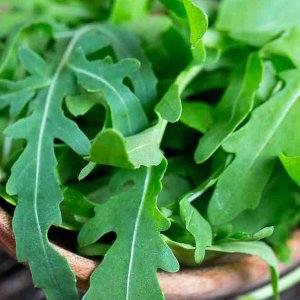 salata-rukola-rokkietta